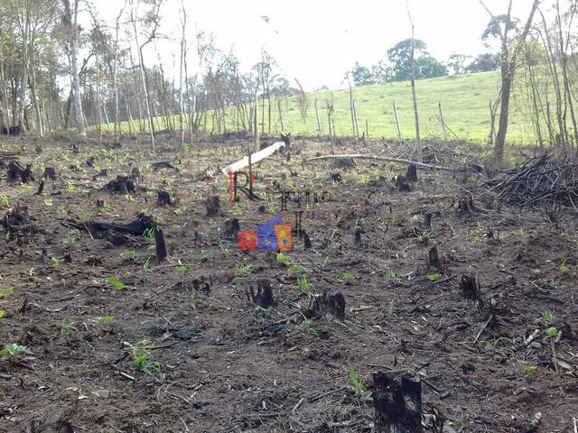 Área para Venda em Quatro Barras - 5