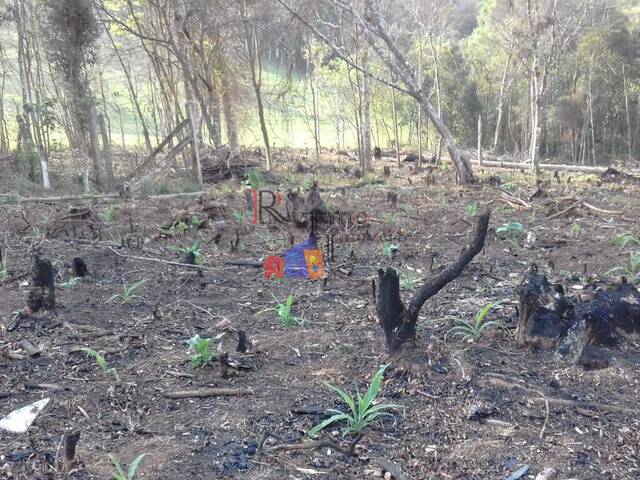 Área para Venda em Quatro Barras - 4